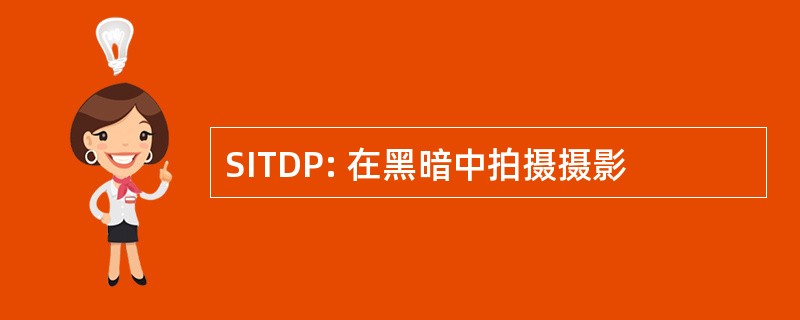 SITDP: 在黑暗中拍摄摄影