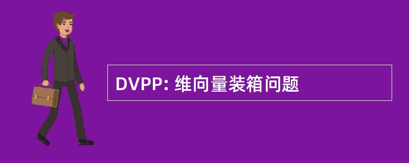 DVPP: 维向量装箱问题