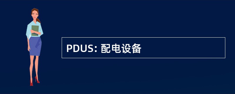 PDUS: 配电设备