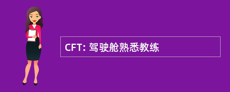 CFT: 驾驶舱熟悉教练