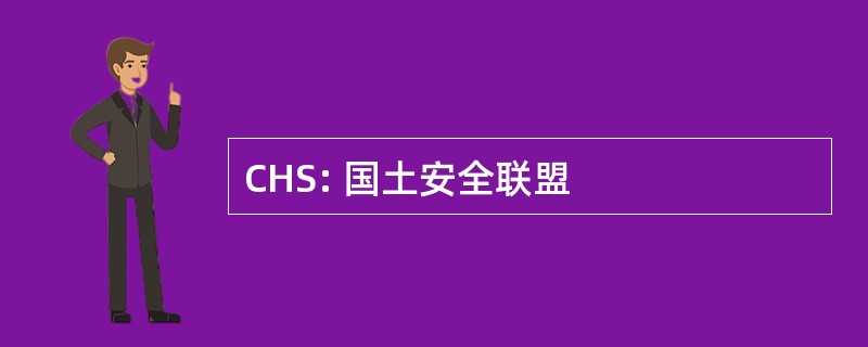 CHS: 国土安全联盟