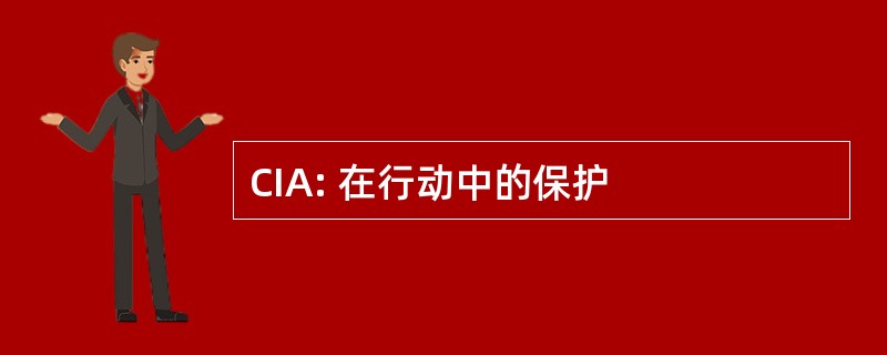 CIA: 在行动中的保护