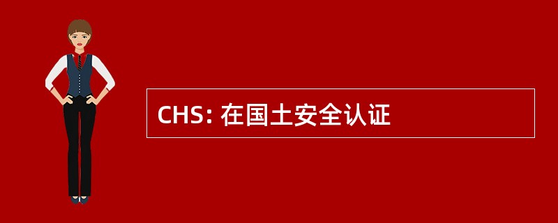 CHS: 在国土安全认证