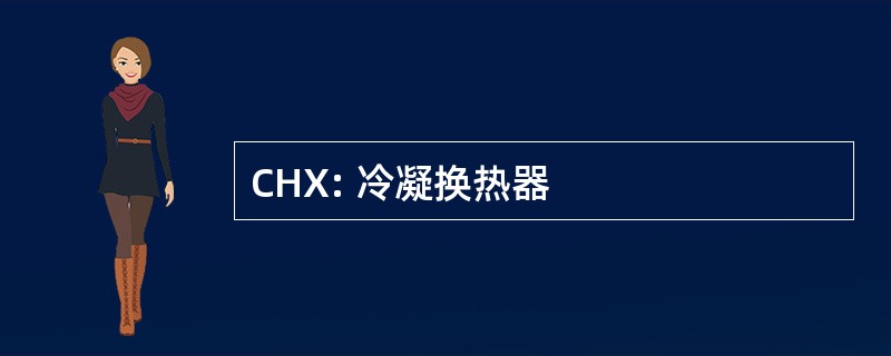 CHX: 冷凝换热器