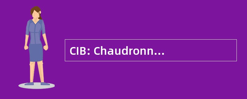 CIB: Chaudronnerie Industrielle 布列塔尼