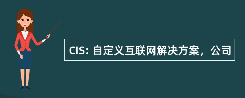 CIS: 自定义互联网解决方案，公司