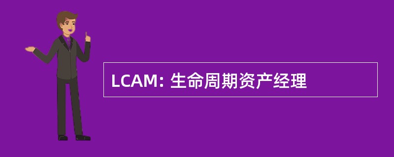 LCAM: 生命周期资产经理