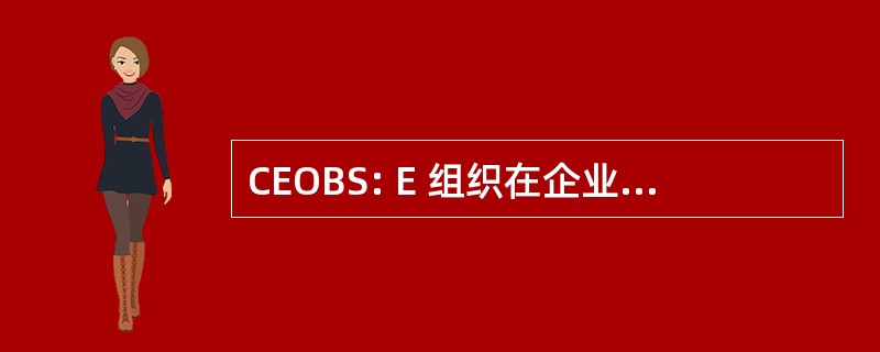 CEOBS: E 组织在企业和社会研究中心