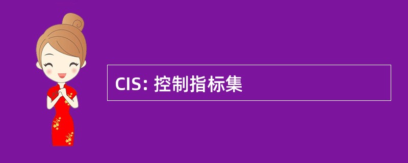 CIS: 控制指标集