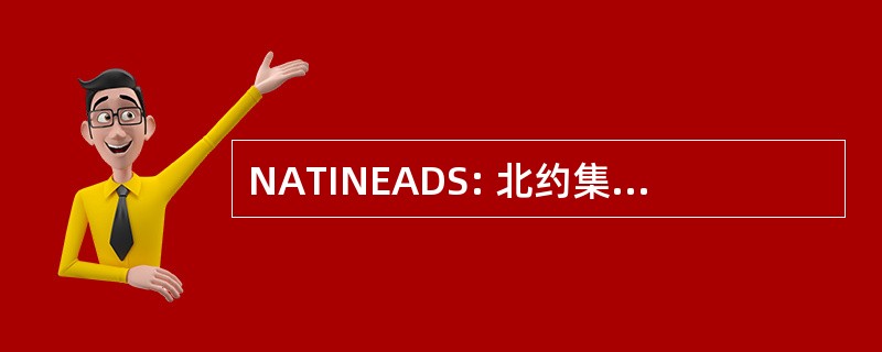 NATINEADS: 北约集成扩展的防空系统