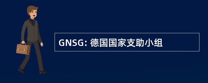 GNSG: 德国国家支助小组