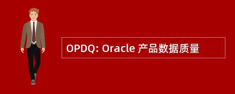 OPDQ: Oracle 产品数据质量