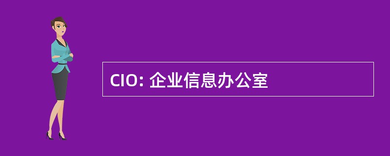 CIO: 企业信息办公室