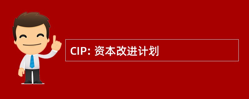 CIP: 资本改进计划