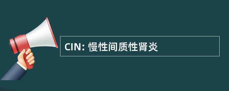 CIN: 慢性间质性肾炎