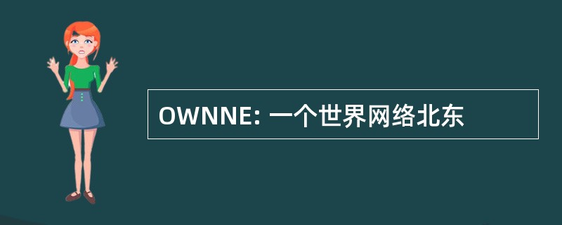 OWNNE: 一个世界网络北东