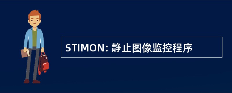 STIMON: 静止图像监控程序