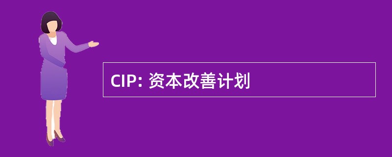 CIP: 资本改善计划