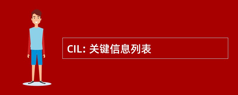 CIL: 关键信息列表