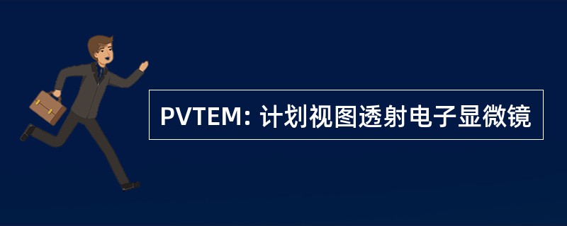 PVTEM: 计划视图透射电子显微镜