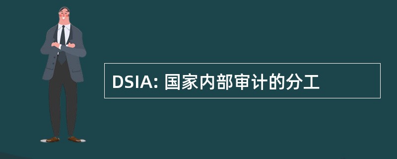 DSIA: 国家内部审计的分工