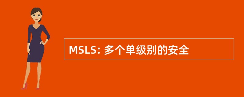 MSLS: 多个单级别的安全