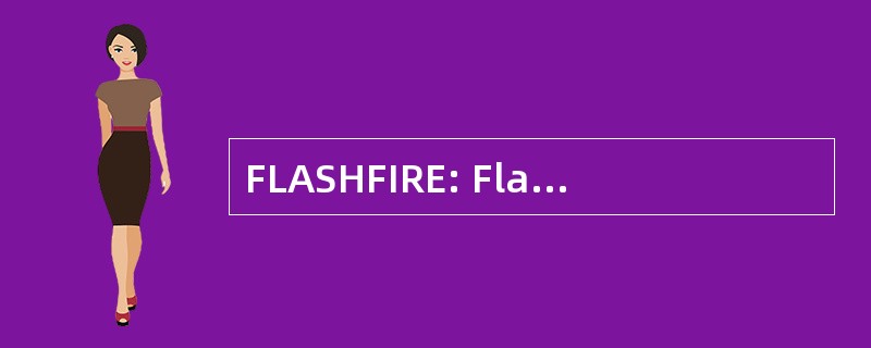 FLASHFIRE: Flash 为前瞻性溢出的财务报告