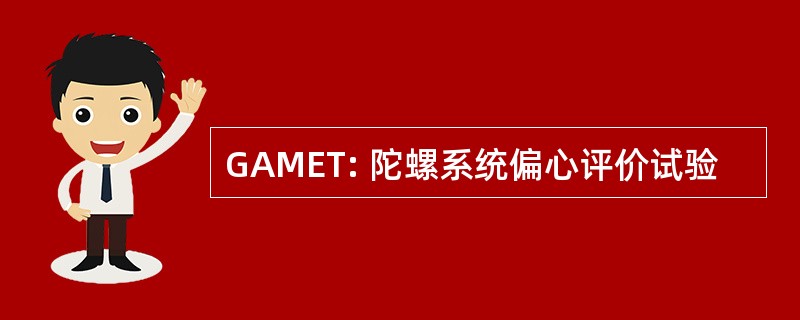 GAMET: 陀螺系统偏心评价试验