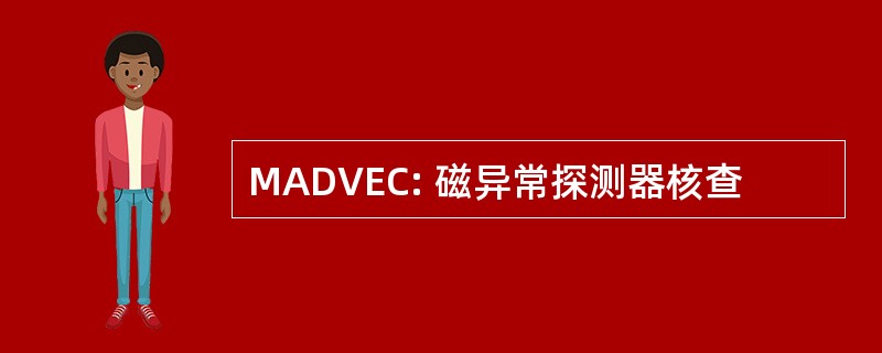 MADVEC: 磁异常探测器核查