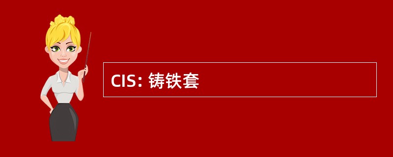 CIS: 铸铁套