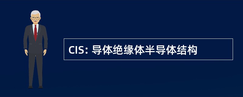 CIS: 导体绝缘体半导体结构