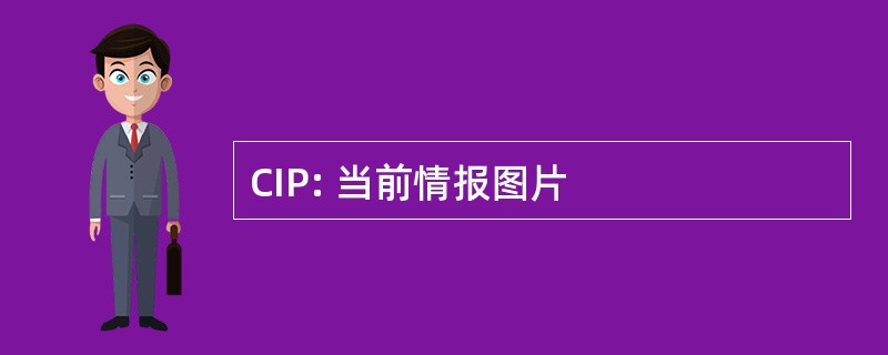 CIP: 当前情报图片