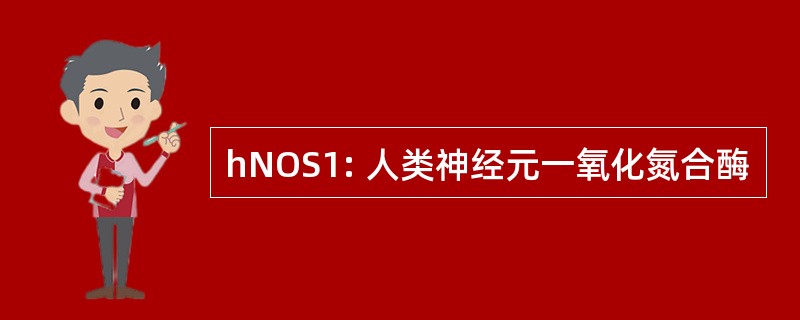 hNOS1: 人类神经元一氧化氮合酶