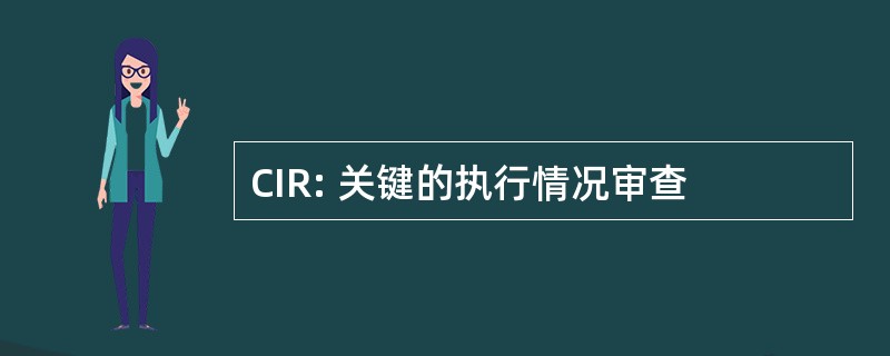 CIR: 关键的执行情况审查