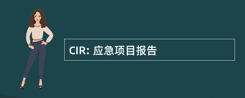 CIR: 应急项目报告