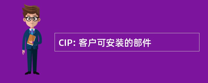 CIP: 客户可安装的部件