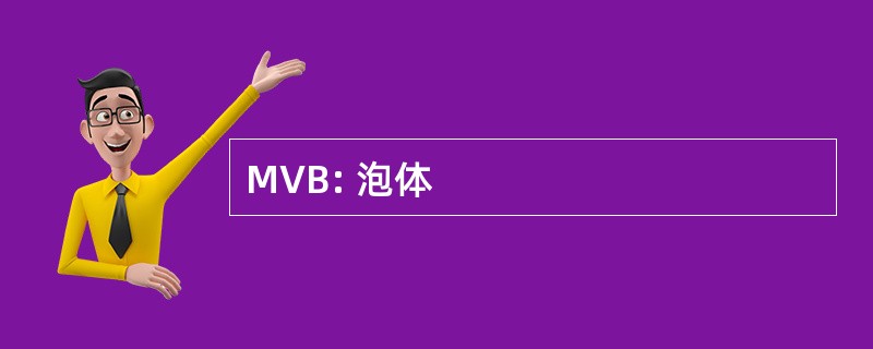 MVB: 泡体