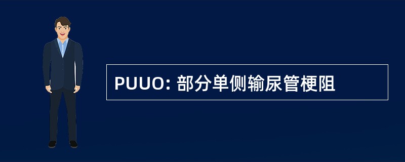 PUUO: 部分单侧输尿管梗阻