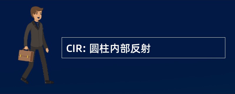 CIR: 圆柱内部反射