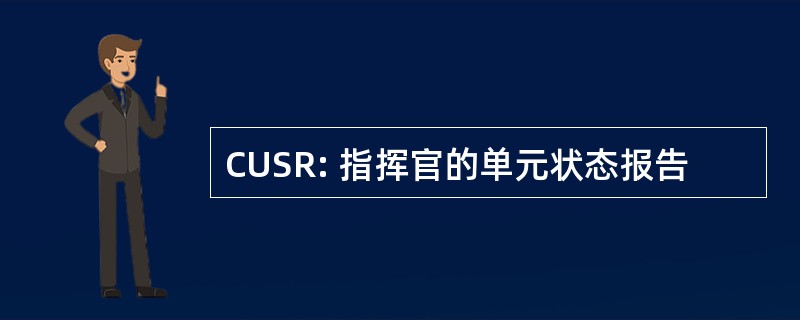 CUSR: 指挥官的单元状态报告