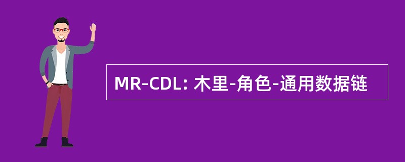 MR-CDL: 木里-角色-通用数据链