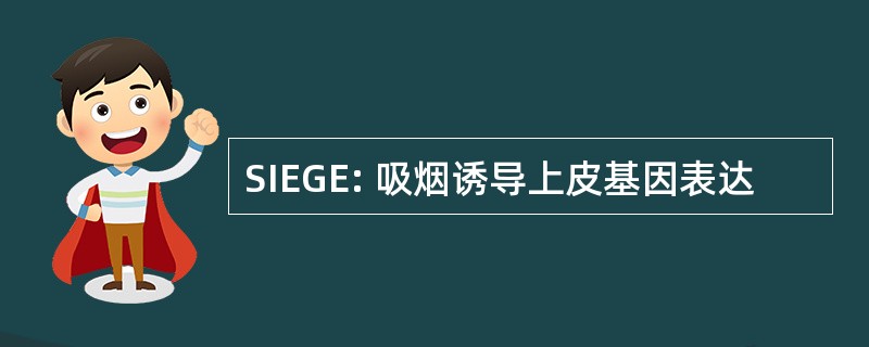 SIEGE: 吸烟诱导上皮基因表达