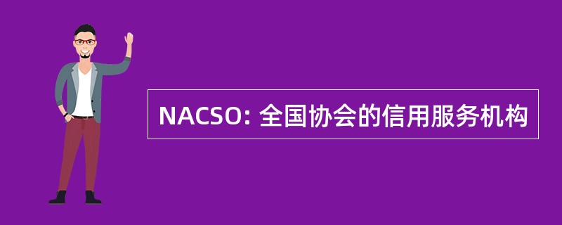 NACSO: 全国协会的信用服务机构