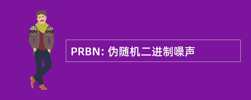 PRBN: 伪随机二进制噪声