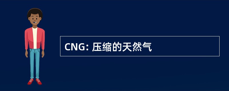 CNG: 压缩的天然气