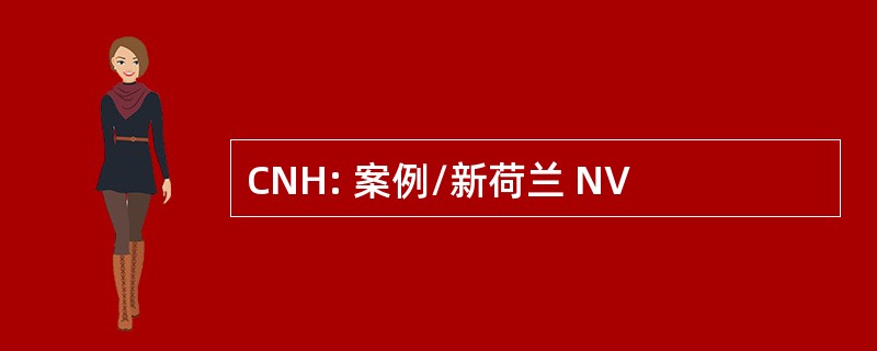 CNH: 案例/新荷兰 NV