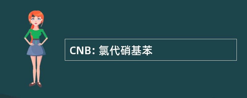 CNB: 氯代硝基苯