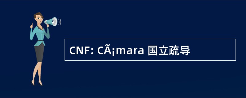 CNF: CÃ¡mara 国立疏导