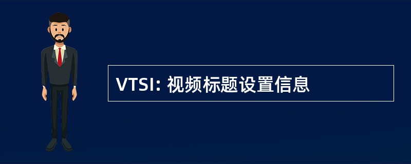 VTSI: 视频标题设置信息