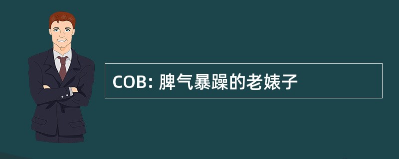 COB: 脾气暴躁的老婊子